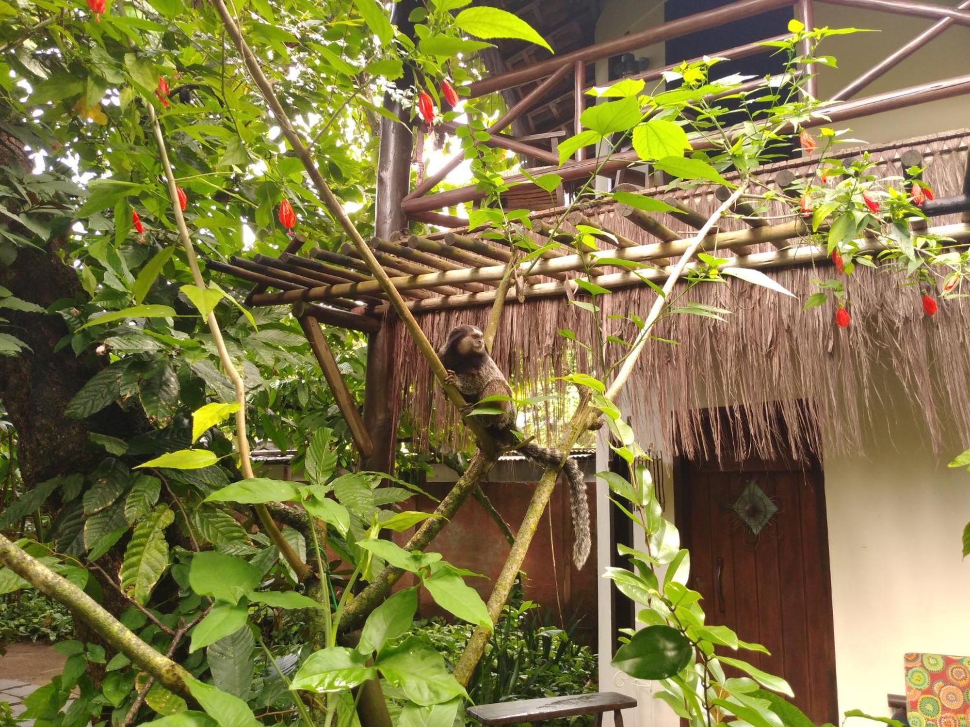 Pousada Fruta Pao Hotel Barra Grande  Exterior photo